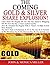 The Coming "Gold & Silver S...