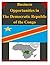 Business Opportunities in The Democratic Republic of the Congo