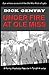 Under Fire at Ole Miss by Dick Gentry
