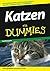 Katzen für Dummies