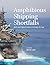 Amphibious Shipping Shortfalls: Risks and Opportunities to Bridge the Gap (CSIS Reports)