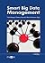 Smart Big Data Management (German Edition)