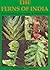 The ferns of India by Subhash Chandra