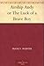 Airship Andy; Or, the Luck of a Brave Boy