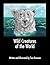 Wild Creatures of the World