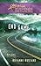 End Game (Big Sky Secrets #3)