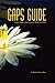 GAPS Guide 2nd Edition by Baden Lashkov