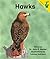 Hawks