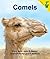 Camels by John E. Becker