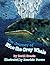 The Journey of Nico the Gray Whale by David Kraatz
