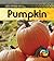 Life Cycle of a Pumpkin