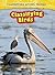 Classifying Birds (Classifying Living Things)