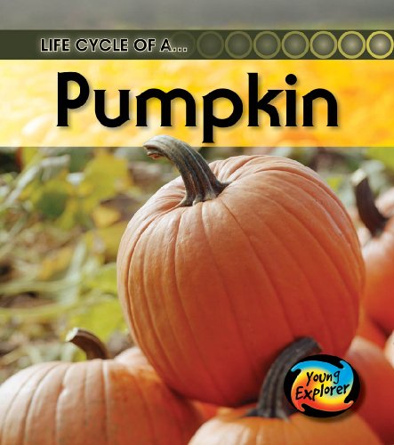 Life Cycle of a Pumpkin (Young Explorer: Life Cycles)