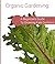 Organic Gardening: A Beginners Guide to Growing Kale Outdoors.