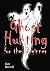 Ghost Hunting For The Beginner
