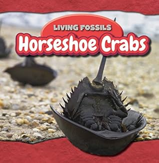 Horseshoe Crabs (Living Fossils, 5)