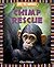 Chimp Rescue (Save the Animals, 2)