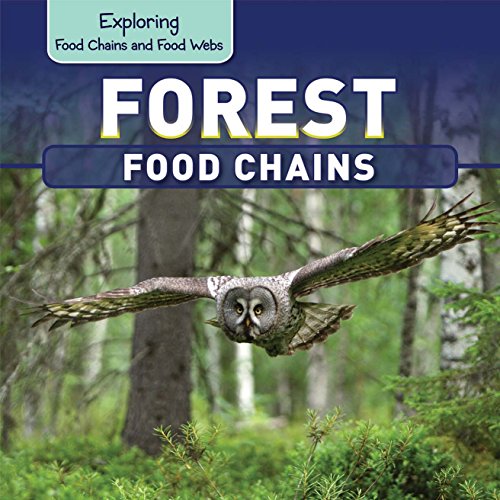 Forest Food Chains (Exploring Food Chains and Food Webs)