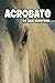 Acrobate by Sam Vansteen
