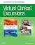 Virtual Clinical Excursions Online and Print Workbook for Fun... by Barbara L. Yoost