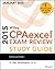 Wiley CPAexcel Exam Review 2015 Study Guide (January): Regulation