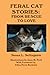Feral Cat Stories: From Rescue to Love