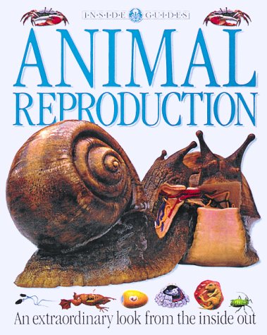 Inside Guides Animal Reproduction (Hardcover)