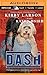 Dash