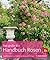 Das große BLV Handbuch Rosen by Robert Markley