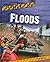 Floods (Disaster Watch)