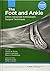 The Foot and Ankle: AANA Ad...