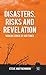 Disasters, Risks and Revelation by Steve Matthewman