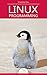 Beginning Linux Programming