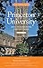 Princeton University and Neighboring Institutions by Robert Spencer Barnett