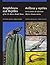 Amphibians and Reptiles of the US–Mexico Border States/Anfibios y reptiles de los estados de la frontera México–Estados Unidos (Volume 52) (W. L. Moody Jr. Natural History Series)