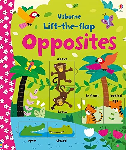 Lift-the-flap Opposites (Board Book)