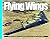 Flying wings: a visual history of the Northrop XB-35 and YB-49 flying wings