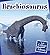 Brachiosaurus