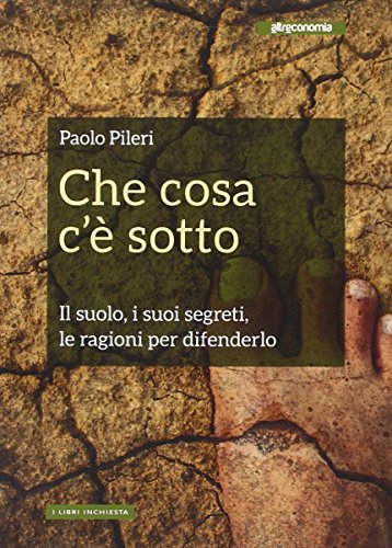 Che cosa c'è sotto (Paperback)