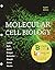 Molecular Cell Biology