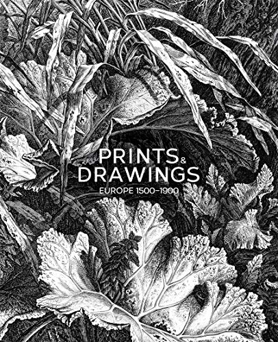 Prints & Drawings: Europe 1500-1900 (Hardcover)