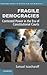 Fragile Democracies: Contested Power in the Era of Constitutional Courts (Cambridge Studies in Election Law and Democracy)