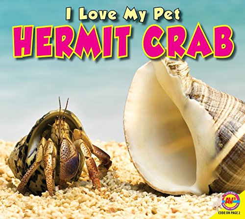 Hermit Crab (I Love My Pet)