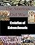 Evolution of Entrenchments (The American Civil War)