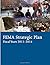 FEMA Strategic Plan Fiscal ...