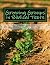 Growing Groups in Biblical ...
