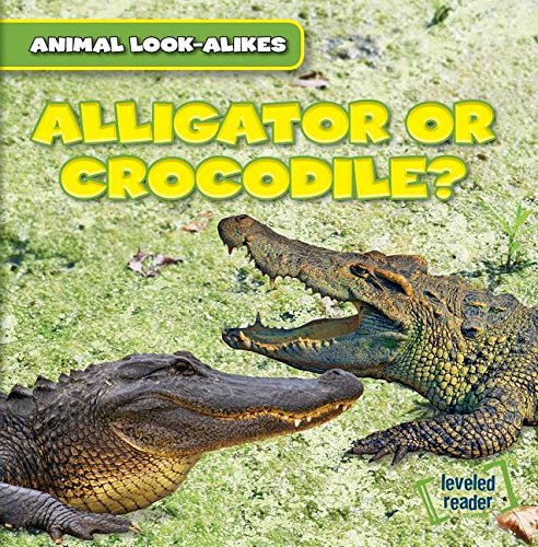 Alligator or Crocodile? (Animal Look-Alikes)