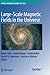Large-scale Magnetic Fields in the Universe (Space Sciences Series of ISSI, 39)