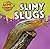 Slimy Slugs (Icky Animals! Small and Gross, 4)
