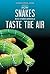 How Snakes and Other Animals Taste the Air (Superior Animal Senses)